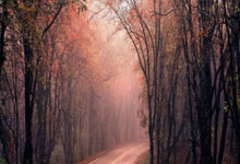 股票交易app软件:股票交易网上开户流程-蔚来二季度营收增长9% 李斌：四季度锚定月销5万台目标